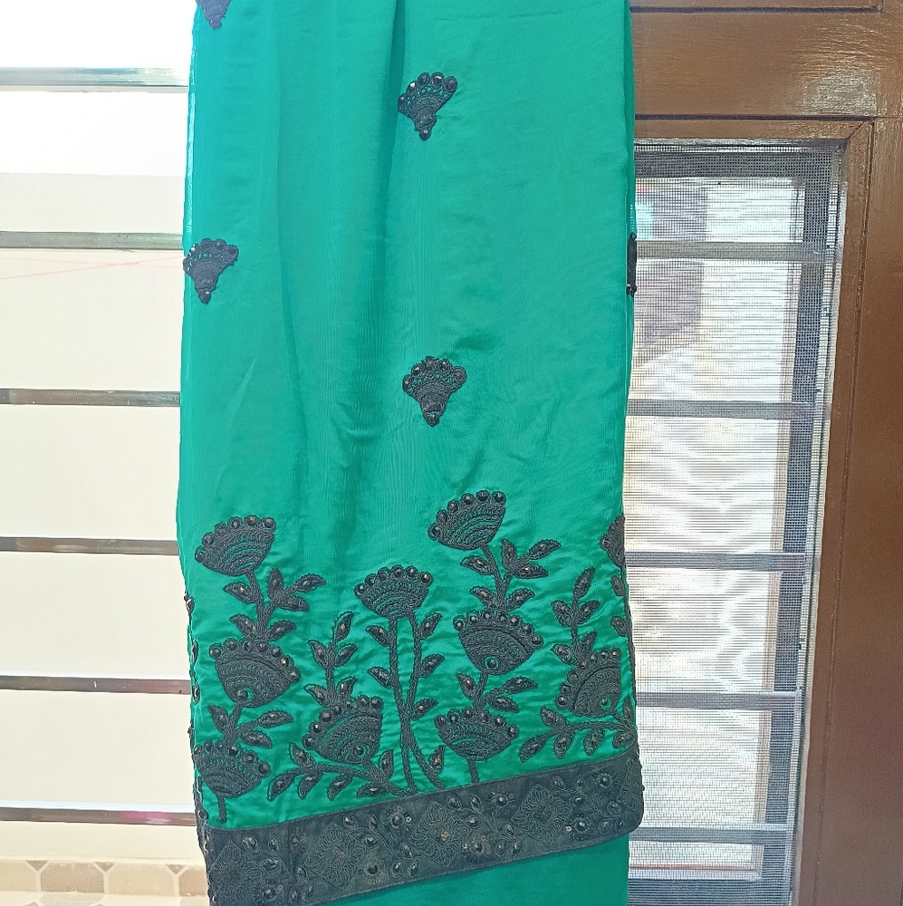 Seagreen saree with black border - Picture 5 of 6